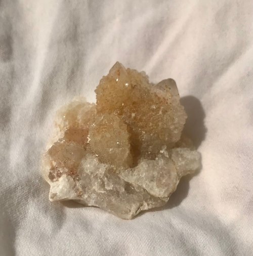 Could9Crystal 南非黃金仙人掌 側芽水晶 水晶簇 黃水晶 原礦礦標 擺件 天然原石