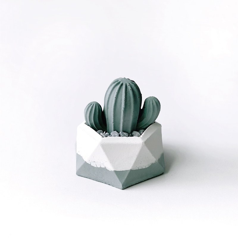 (Ready stock) Morandi Green Series | Cactus-shaped Cement diffuser Stone combination office planting for lazy people - Items for Display - Cement Green