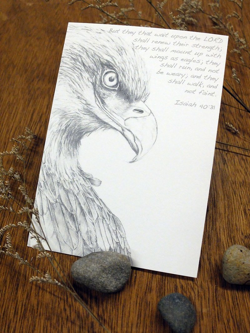 Eagle sketching postcard - การ์ด/โปสการ์ด - กระดาษ สีเทา