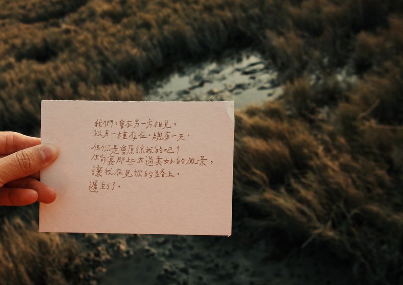 荒涼手記。我在見你的路上 文字明信片 青青的島 - 卡片/明信片 - 紙 