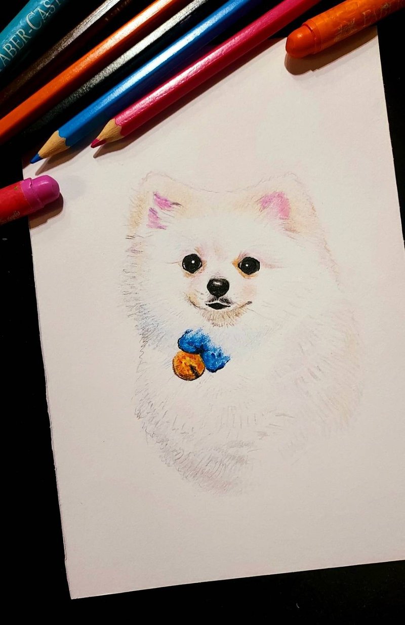 Color pencil hand-painted non-electric painting like color painting【Pet illustration】 A5 - ภาพวาดบุคคล - กระดาษ 