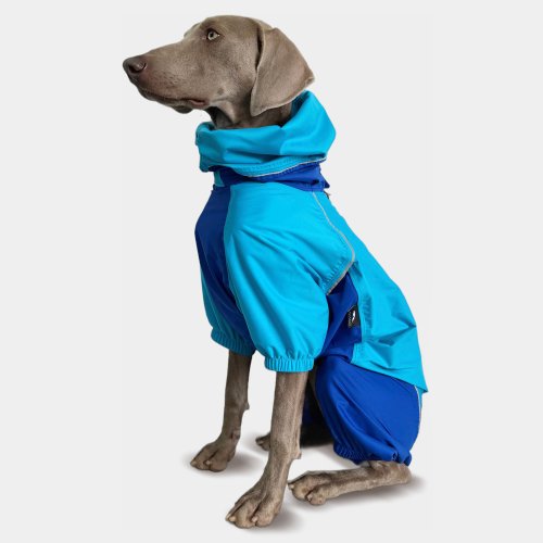 PETT2GO 狗透氣雨衣-連身式機能服 臺灣製 3M反光 牽繩孔 中大型狗 天空藍