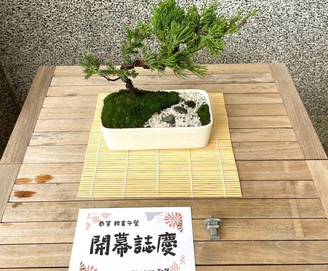 小品盆栽-日式庭院真柏組合送禮開幕13 野趣小品盆栽Rustic Charm