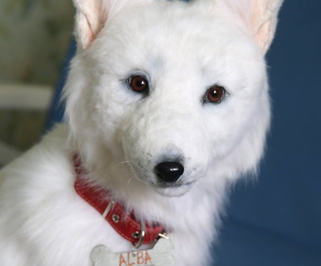 White shepherd stuffed store animal