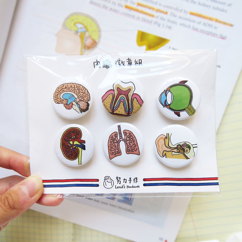 Lifelong Learning Series Visceral Badge Set - 6 In - Badges & Pins - Plastic 