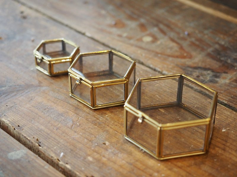 Hand brass Hexagon glass box Single (Size: S) - Items for Display - Other Metals Gold