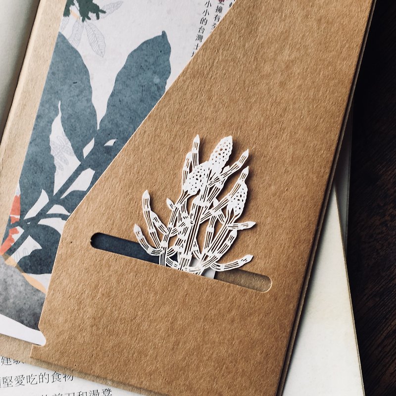 Fern Herbier Papercraft - Equisetum ramosissimum - Bookmarks - Paper White