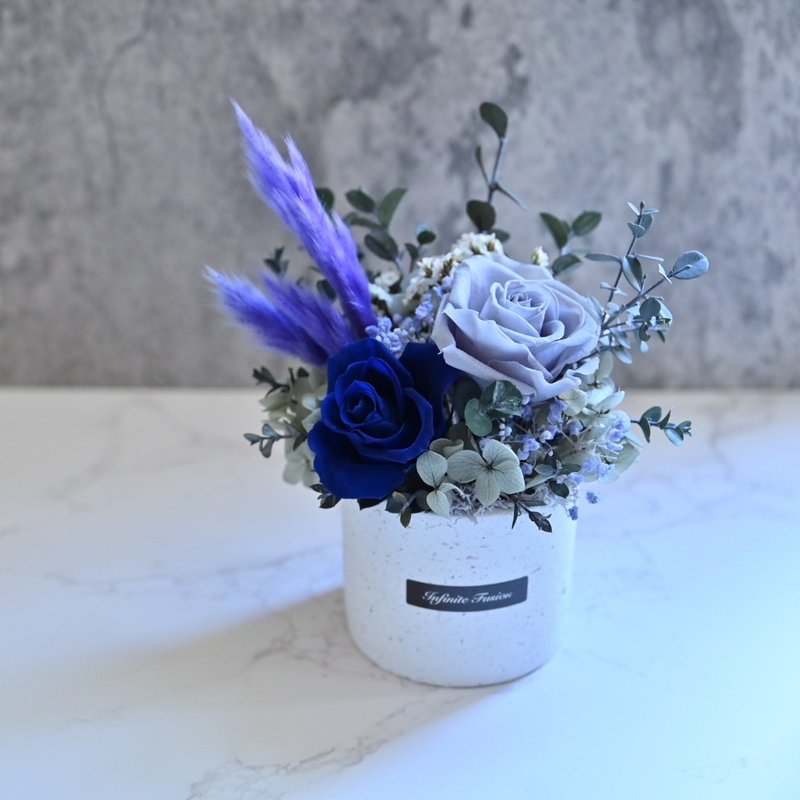 Small potted flowers of everlasting flowers - calm blue and gray [with transparent gift box] - ช่อดอกไม้แห้ง - พืช/ดอกไม้ สีน้ำเงิน