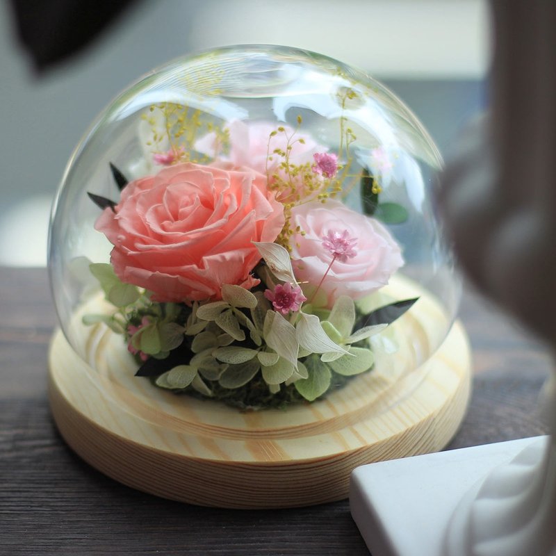 Valentine's Day Preserved Flower Glass Cover Cup Pink&Green Customized Rose Flower Ceremony Dry Flower - ช่อดอกไม้แห้ง - พืช/ดอกไม้ หลากหลายสี