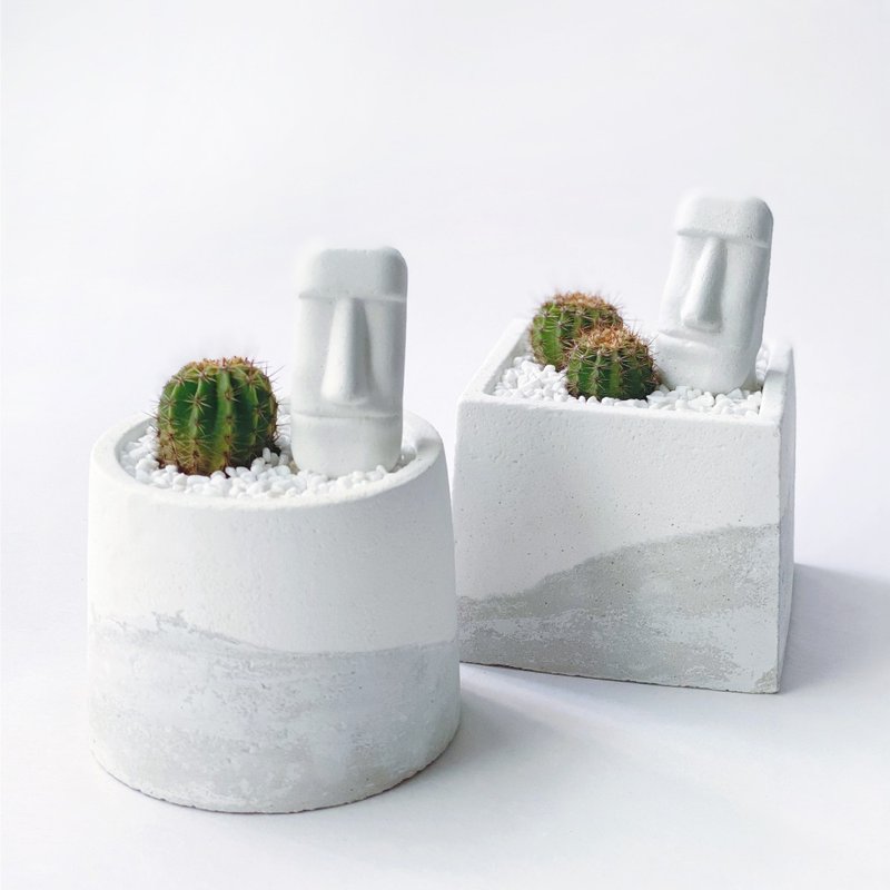 (Spot) White Grey Gradient Series | With-Cactus Round/Square Cement Planting + Moai Ornaments - ตกแต่งต้นไม้ - พืช/ดอกไม้ สีเทา