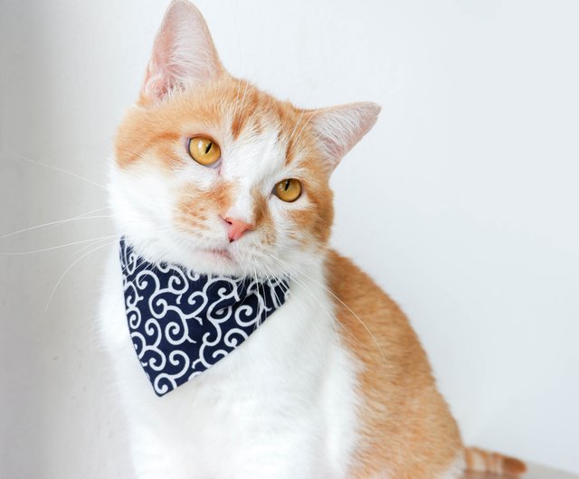 猫の安全首輪ドロボウ三角セット-猫泥棒 - ショップ Purrcraft