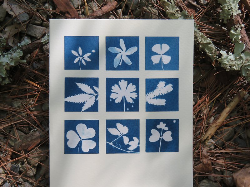 植物剪影。九宮格手作藍曬卡片 - 卡片/明信片 - 紙 藍色