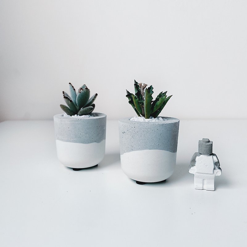 Cup cup succulent Cement pot cactus pot comes with a small doll - Plants - Cement Gray