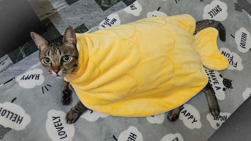 【Ocean Dream】Pet Cat Mermaid Cloak/Quilt/Blanket丨Pet Dress Up - ชุดสัตว์เลี้ยง - อะคริลิค สีเหลือง