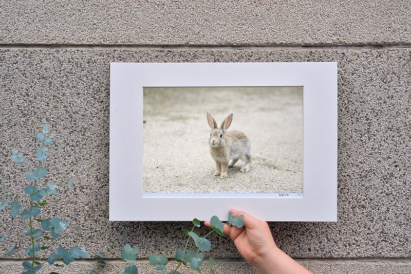 Original limited edition rabbit photography art-Moe - ของวางตกแต่ง - กระดาษ สีกากี