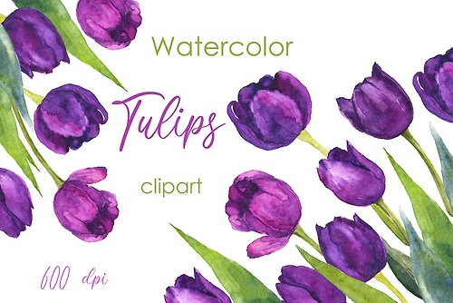 KomtsyanTatyanaArt Watercolor floral clipart. Tulip art. Purple Tulip stem bouquets. Handmade png