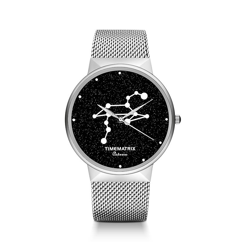 【丹麥星彩寶石】獅子座 Time Matrix 星座創意時尚男女石英手錶 - 女錶 - 不鏽鋼 灰色
