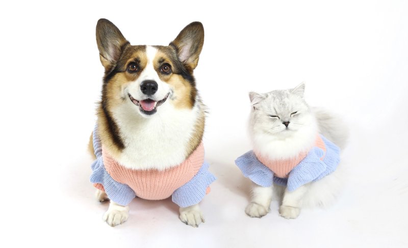 活潑撞色 寵物針織毛衣 sweater for pets - 寵物衣服 - 羊毛 粉紅色