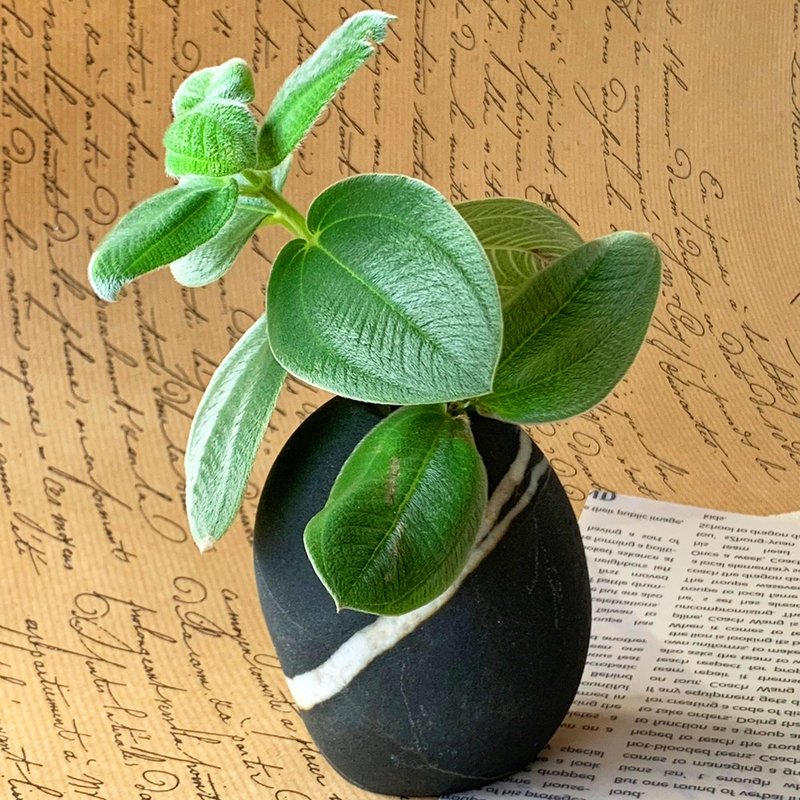 台灣 南田石花器 蜿蜒無盡 │ 天然水墨系列  擺飾 - 花瓶/花器 - 其他材質 灰色