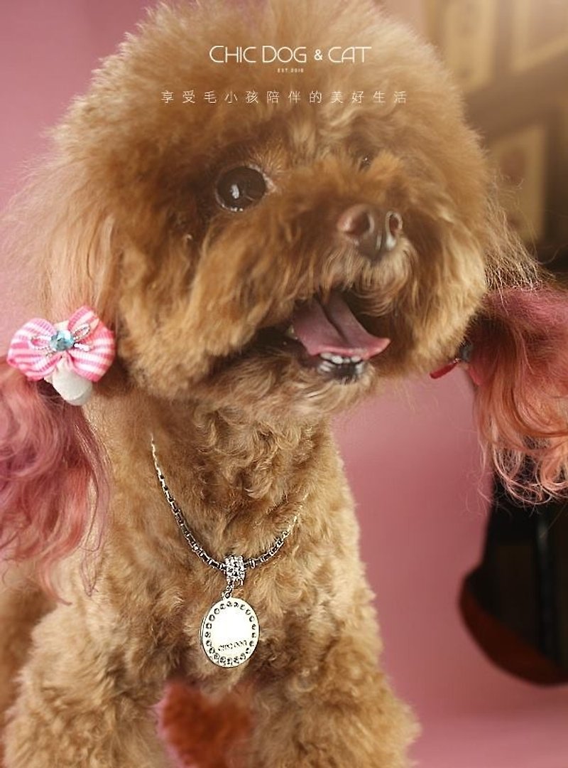 Royal Zircon Dog necklace - ปลอกคอ - โลหะ สีเงิน