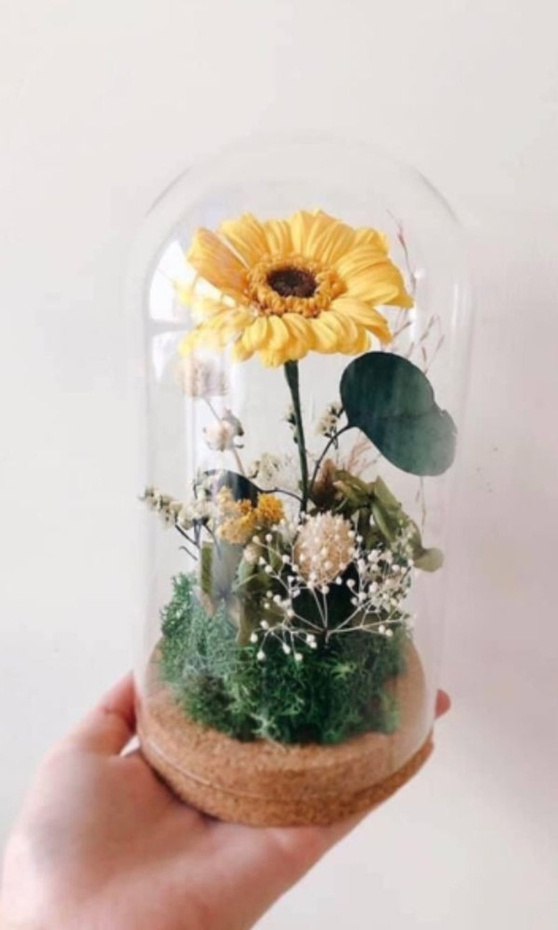 梵谷瓶中花園 畢業禮物 向日葵 非洲菊 - 乾燥花/永生花 - 植物．花 