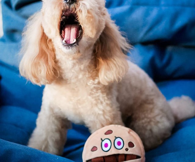 [Dog toys] French Studio Ollie smells the difficulty of Tibetan food toys 3  stars to relieve stress and anti-depression