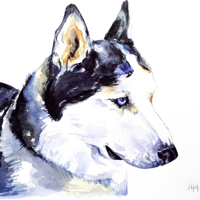 Custom Pet Portrait Original Painting Draw My Pet Paint My Cat Pet Commission - 海報/掛畫/掛布 - 紙 多色