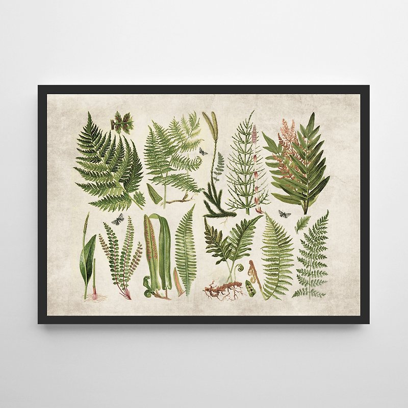 vintage ferns print #5 復古 可客製化 海報 掛畫 - 海報/掛畫/掛布 - 紙 