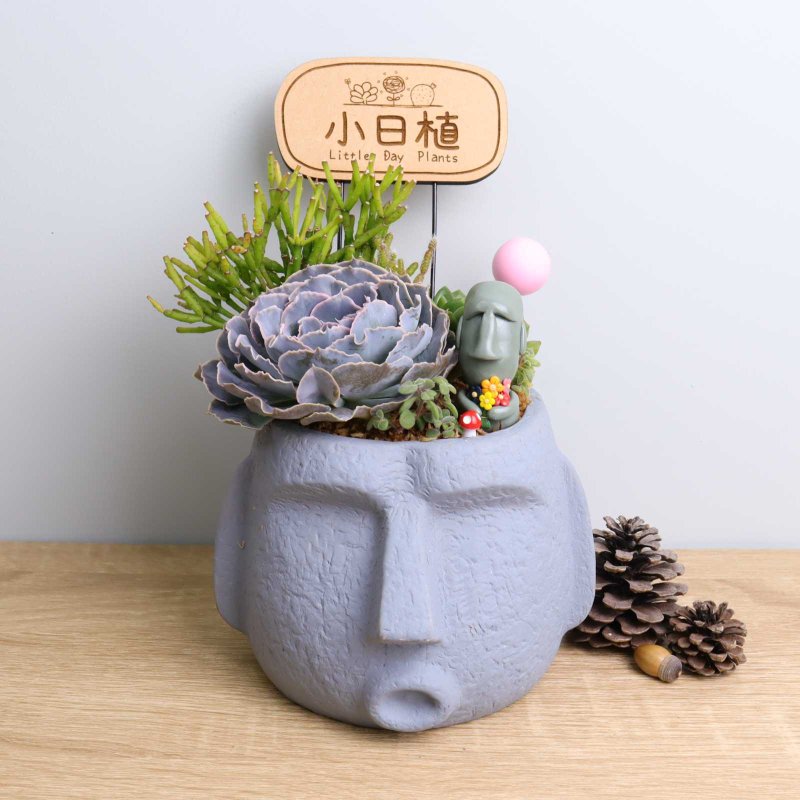 Moai Succulent Potted Plant Character Signboard Customized Cement Easter Island Birthday Opening Gift - ตกแต่งต้นไม้ - ปูน สีเทา