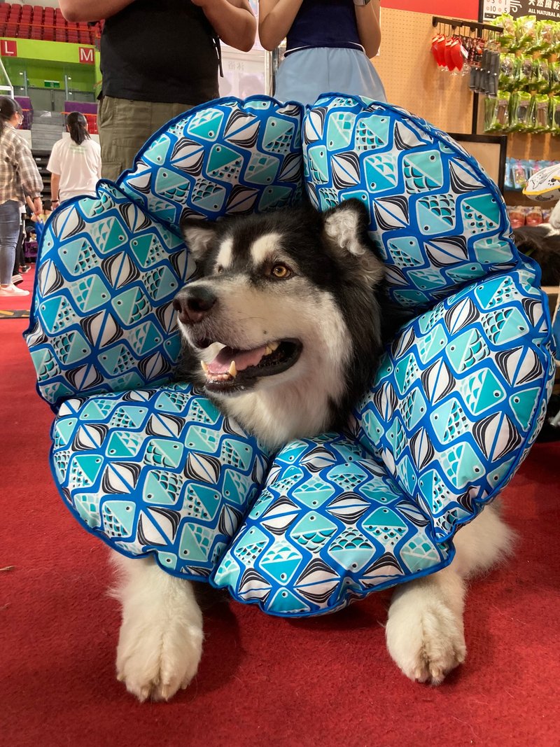 客製化設計: Petals花朵頭套【棉花板】(3XL) **單片販售** - 客製化寵物商品 - 聚酯纖維 