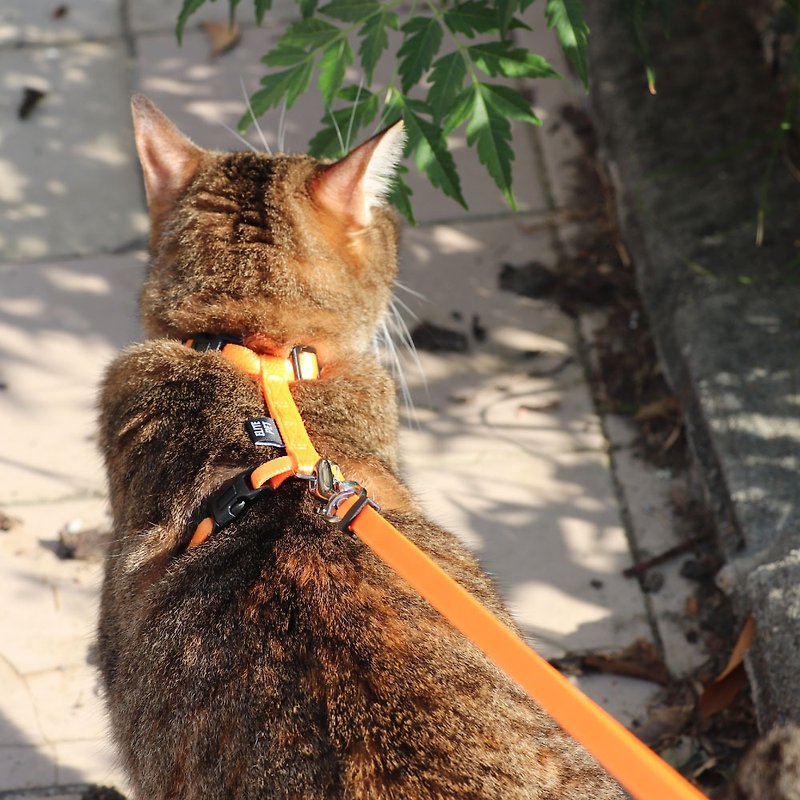 經典系列 貓用胸背 外星綠/火星橘 - 項圈/牽繩 - 尼龍 黃色
