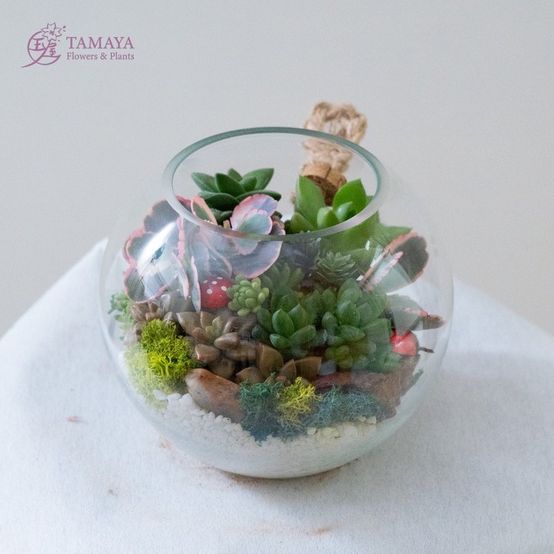 Succulent Landscape Glass Ball | Small - ตกแต่งต้นไม้ - พืช/ดอกไม้ สีเขียว