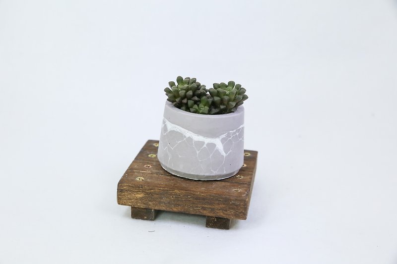 Clay Chuangyan/Clear Water Model Series/ Cone Shaped Cement Pots/ Free One Inch Succulents - ตกแต่งต้นไม้ - ปูน สีเงิน