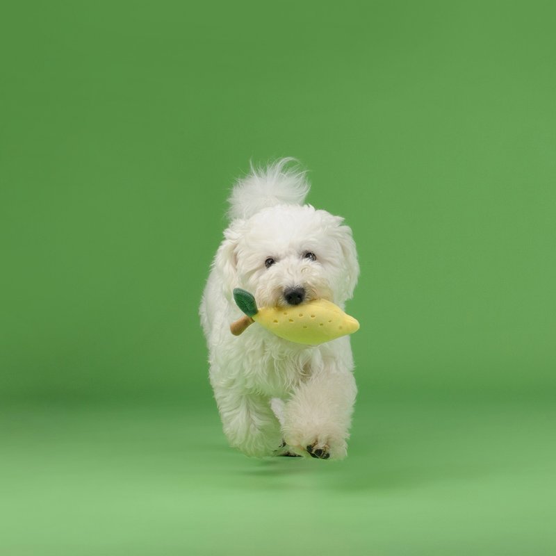 【狗玩具】 CHEWFFON 清新檸檬 - 貓/狗玩具 - 其他材質 