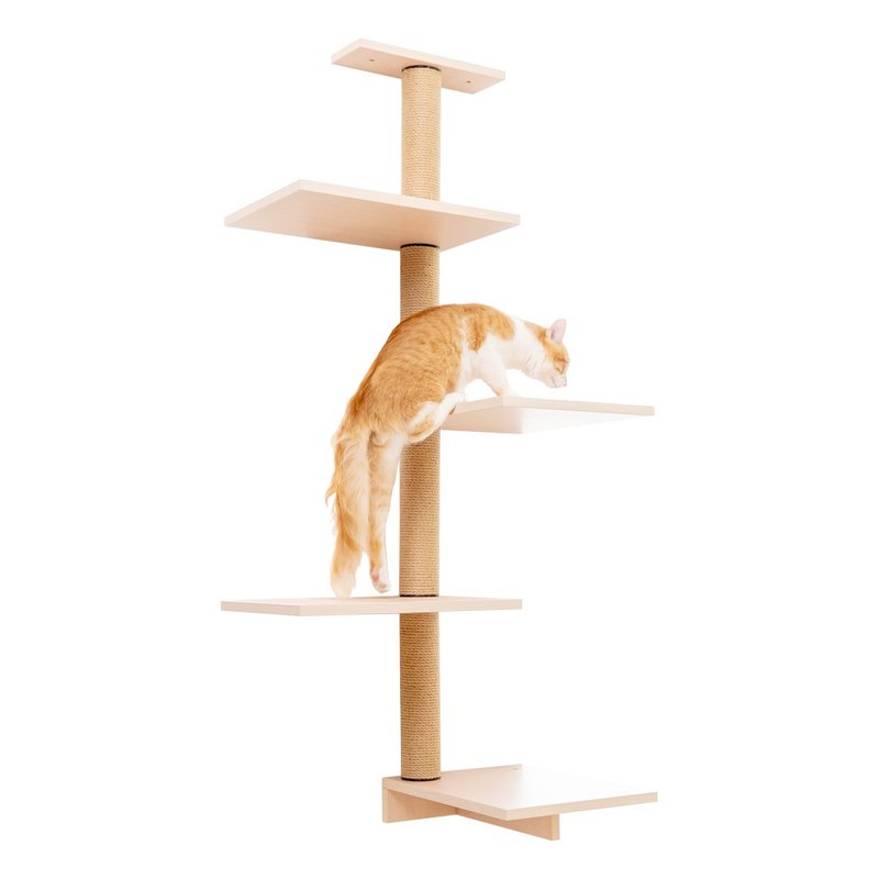 【MOMOCAT】T04 four-step cabinet ladder-three wood colors - Scratchers & Cat Furniture - Wood 