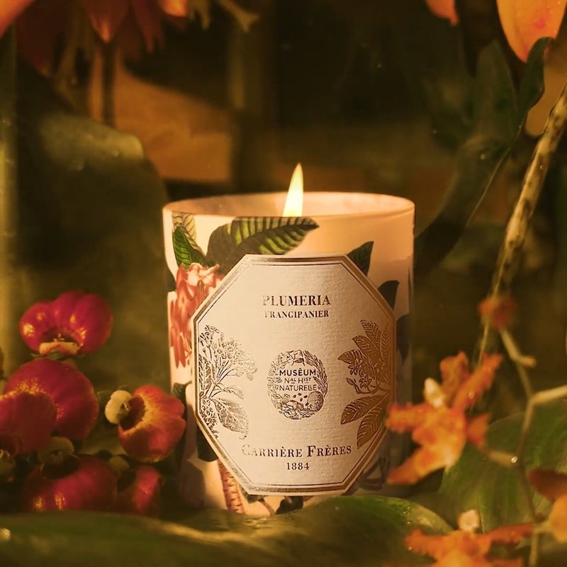 Carrière Frères Museum Series Burmese Gardenia Scented Candle - เทียน/เชิงเทียน - ขี้ผึ้ง ขาว