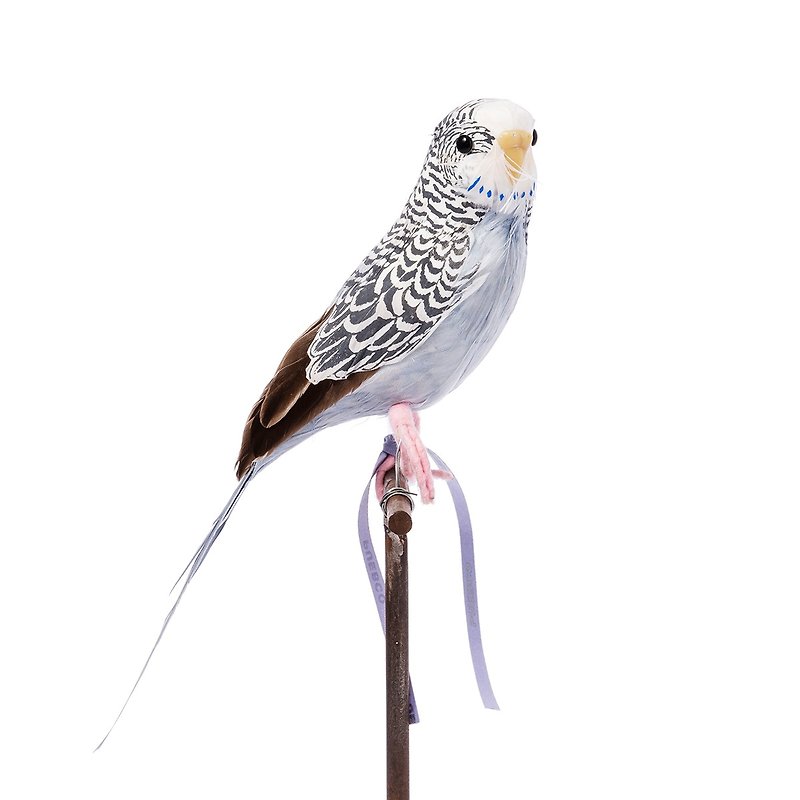 ARTIFICIAL BIRDS Budgie Gray Handmade Animal Styling Ornament - Grey Parrot - ของวางตกแต่ง - วัสดุอื่นๆ สีเทา
