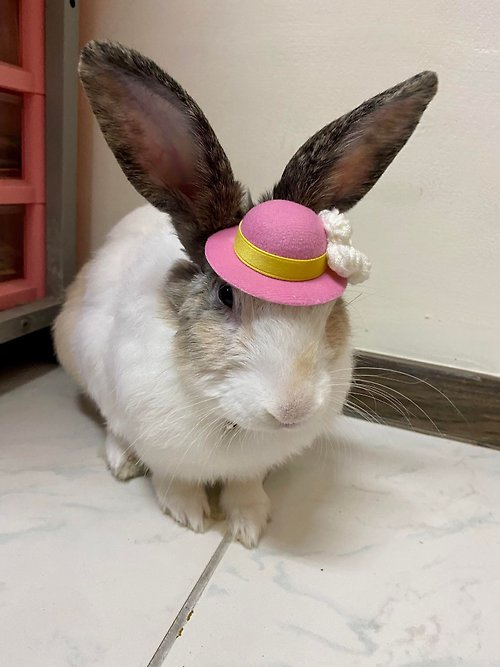 Avondream 手創小舖 Q2-手工寵物生日帽子寵物髮飾頭套兔兔牽繩衣配件兔子-歐洲禮帽
