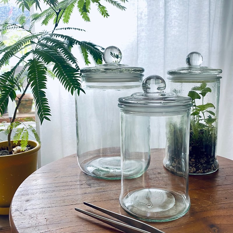 Vintage laboratory sealed glass jar - จัดดอกไม้/ต้นไม้ - แก้ว 