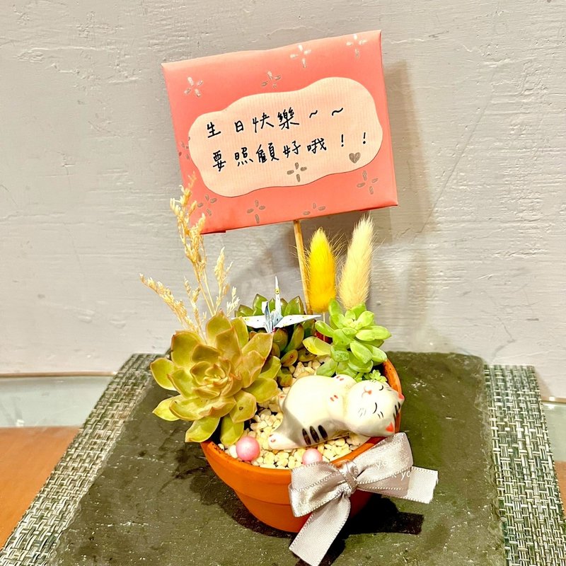 台中多肉組盆 多肉植物 日式枯山水 放鬆 貓咪 療癒盆栽 生日禮物 - 盆栽/植栽 - 植物．花 綠色