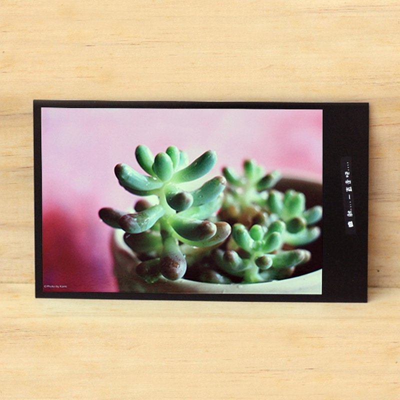 Handmade Limited Postcards-One Corner/Taiwan Small Object Photography - การ์ด/โปสการ์ด - กระดาษ หลากหลายสี