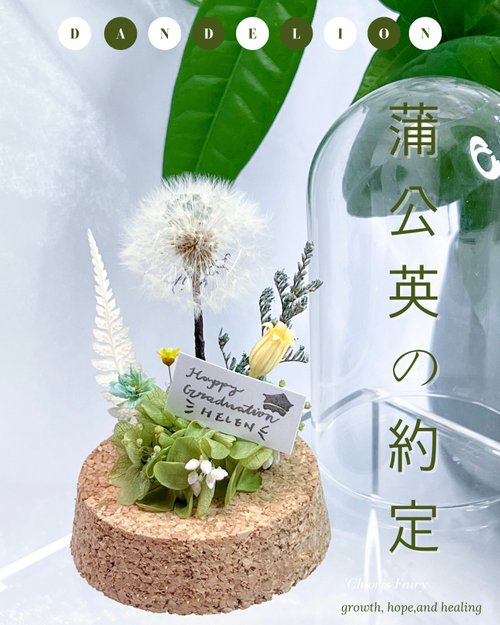 Chloris Fairy 花汝 蒲公英永生花玻璃罩 永生花玻璃罩 畢業禮物 情侶禮物 紀念日