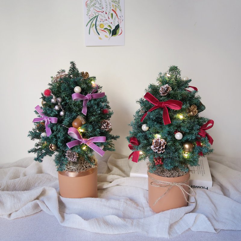 Christmas tree planted in a pot/Christmas gift box Christmas tree customized gift dried flowers - Dried Flowers & Bouquets - Plants & Flowers Green