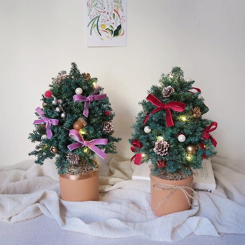 宇宙花間 種在盆栽的聖誕樹 / 聖誕節 聖誕禮盒 聖誕樹 客製化禮物 乾燥花