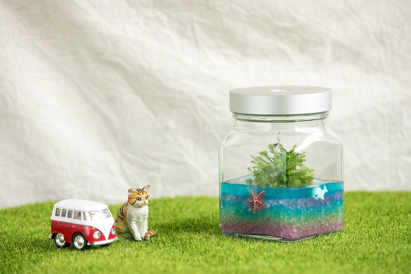 Felt Moss Industrial Wind No. 2 Bottle Rainbow Ocean Lazy Potted Houseplant Graduation Gift - Plants - Glass Transparent