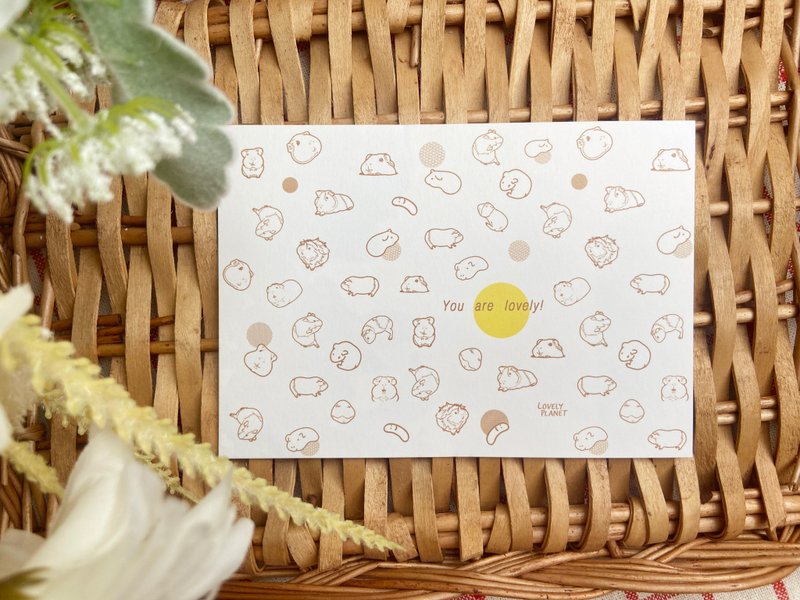 Lovely Planet Guinea Pig Postcardl So Cute Collectionl Series 2 - การ์ด/โปสการ์ด - กระดาษ สีส้ม