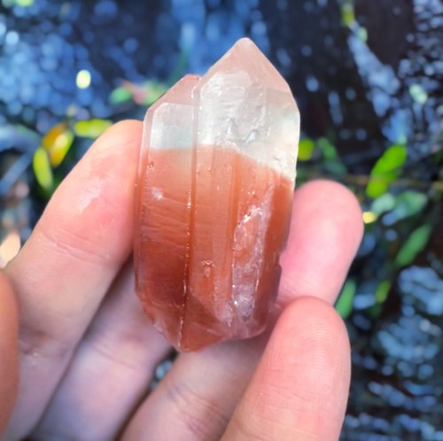 非常に珍しいツインヴィーナスクリスタルレッドルチルクォーツ、台紙