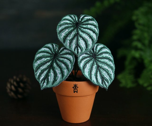 フィロデンドロン・プロウマニー - 観葉植物 - 刺繍の入った鉢植え