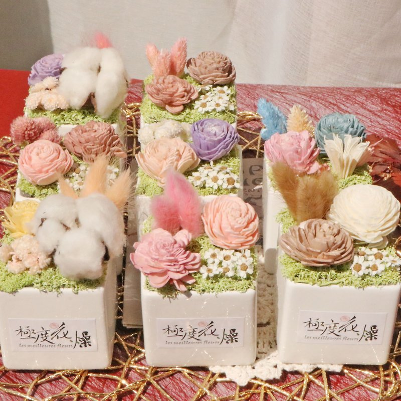 Variations of Four, Table Flowers, Extremely Dry Flowers, Preserved Flower Gifts - ช่อดอกไม้แห้ง - พืช/ดอกไม้ สึชมพู