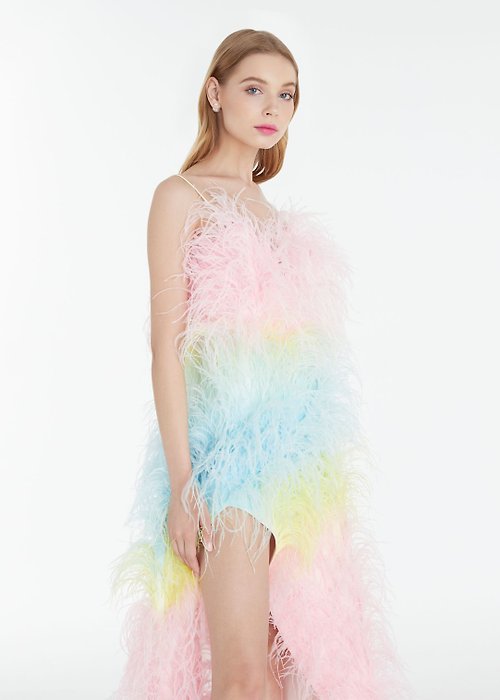 Rainbow Feather Dress 